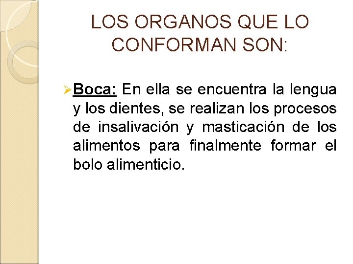 LOS ORGANOS QUE LO CONFORMAN SON: Ø Boca: En ella se encuentra la lengua