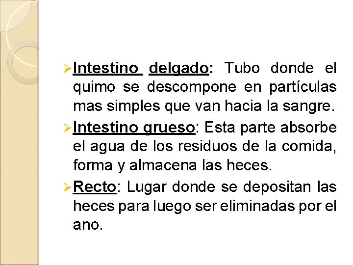 Ø Intestino delgado: Tubo donde el quimo se descompone en partículas mas simples que