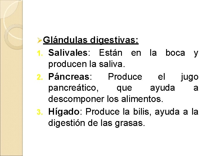 Ø Glándulas digestivas: 1. Salivales: Están en la boca y producen la saliva. 2. Ø Glándulas digestivas: 1. Salivales: Están en la boca y producen la saliva. 2.