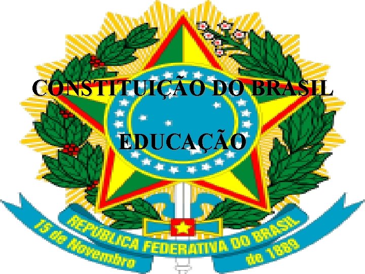 CONSTITUIÇÃO DO BRASIL EDUCAÇÃO 