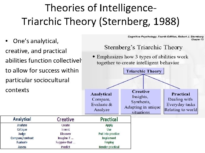 Theories of Intelligence. Triarchic Theory (Sternberg, 1988) • One’s analytical, creative, and practical abilities