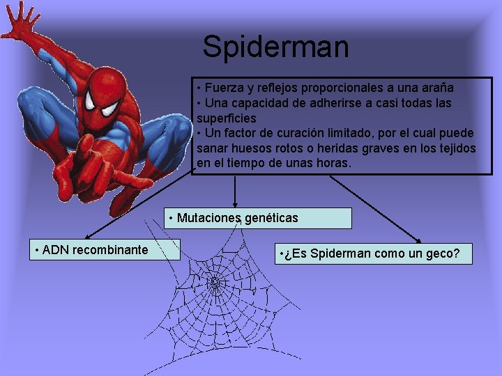 Spiderman • Fuerza y reflejos proporcionales a una araña • Una capacidad de adherirse