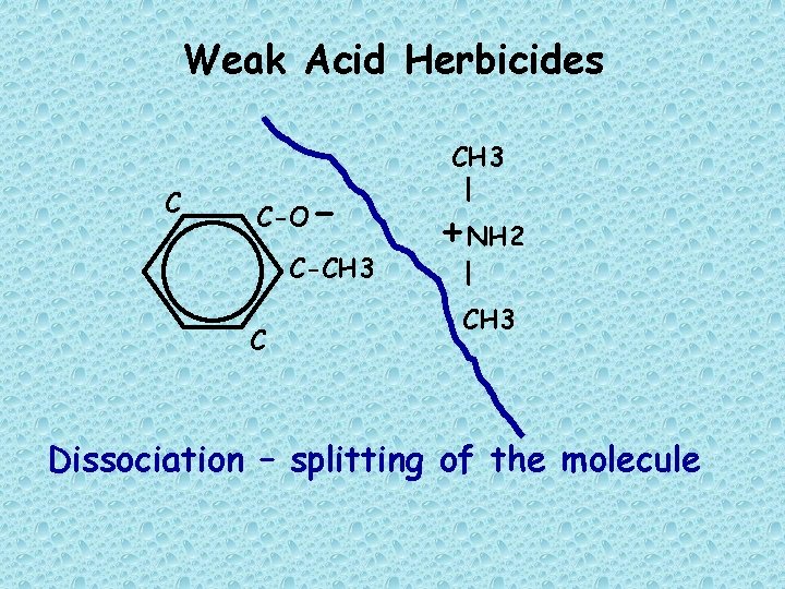 Weak Acid Herbicides C C-O - C-CH 3 C CH 3 | +NH 2