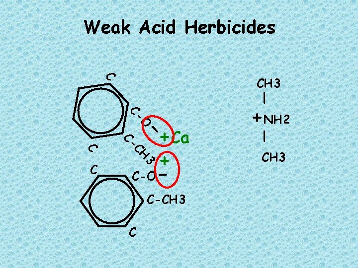 Weak Acid Herbicides C CH 3 | - 3 O CH CC- +Ca +
