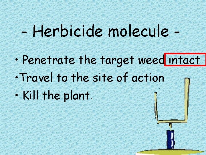 - Herbicide molecule • Penetrate the target weed intact • Travel to the site