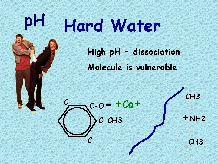 p. H Hard Water High p. H = dissociation Molecule is vulnerable C C-O