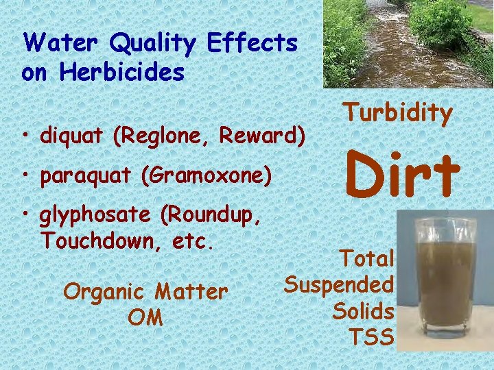 Water Quality Effects on Herbicides • diquat (Reglone, Reward) • paraquat (Gramoxone) • glyphosate