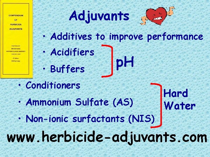 Adjuvants • Additives to improve performance • Acidifiers • Buffers p. H • Conditioners