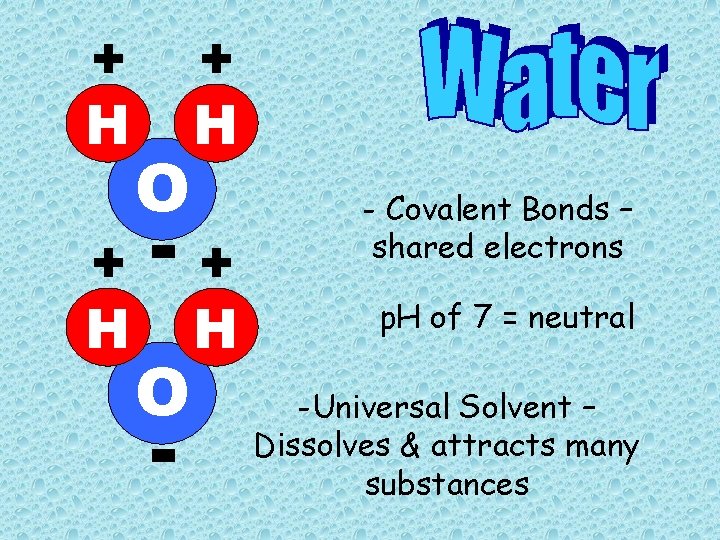 + H O + H -+ O - H - Covalent Bonds – shared