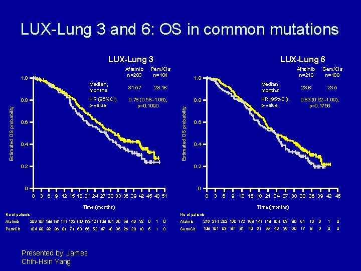 LUX-Lung 3 and 6: OS in common mutations LUX-Lung 3 Pem/Cis n=104 Median, months