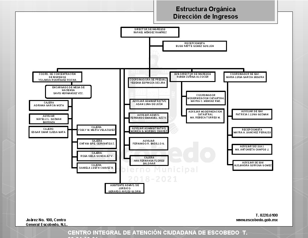 Estructura Orgánica Dirección de Ingresos DIRECTOR DE INGRESOS RAFAEL MÉNDEZ RAMÍREZ RECEPCIONISTA BLISS IVETTE