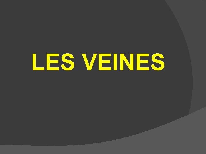 LES VEINES 