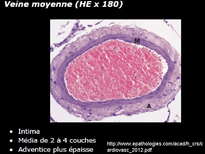 http: //www. epathologies. com/acad/h_crs/c ardiovasc_2012. pdf 