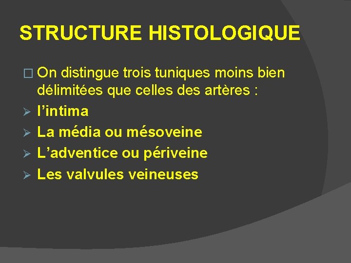 STRUCTURE HISTOLOGIQUE � On Ø Ø distingue trois tuniques moins bien délimitées que celles