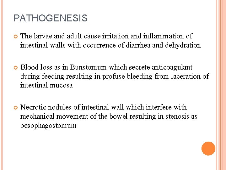 PATHOGENESIS The larvae and adult cause irritation and inflammation of intestinal walls with occurrence