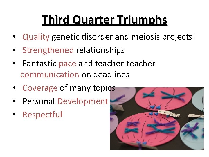Third Quarter Triumphs • Quality genetic disorder and meiosis projects! • Strengthened relationships •