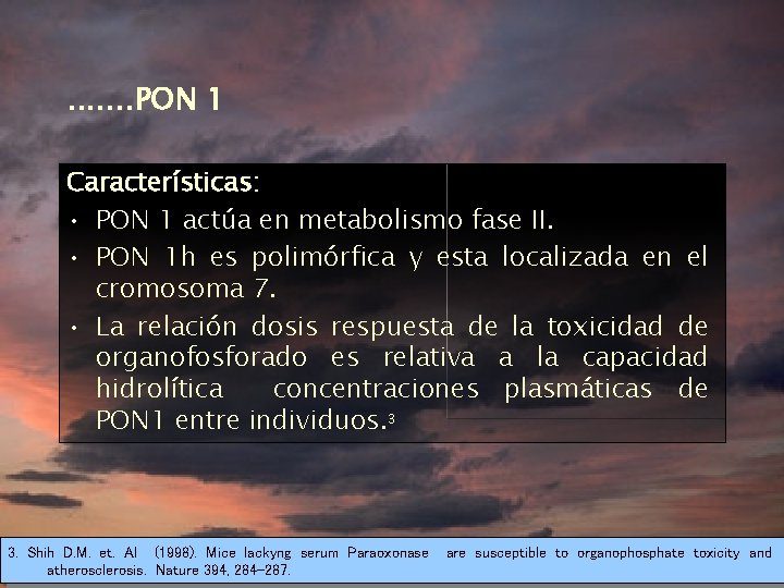 . . . . PON 1 Características: • PON 1 actúa en metabolismo fase