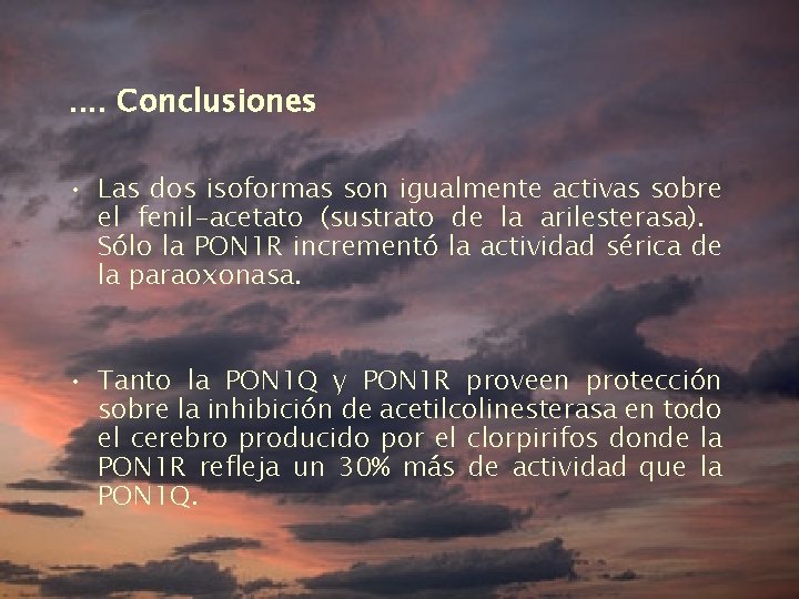 . . Conclusiones • Las dos isoformas son igualmente activas sobre el fenil-acetato (sustrato