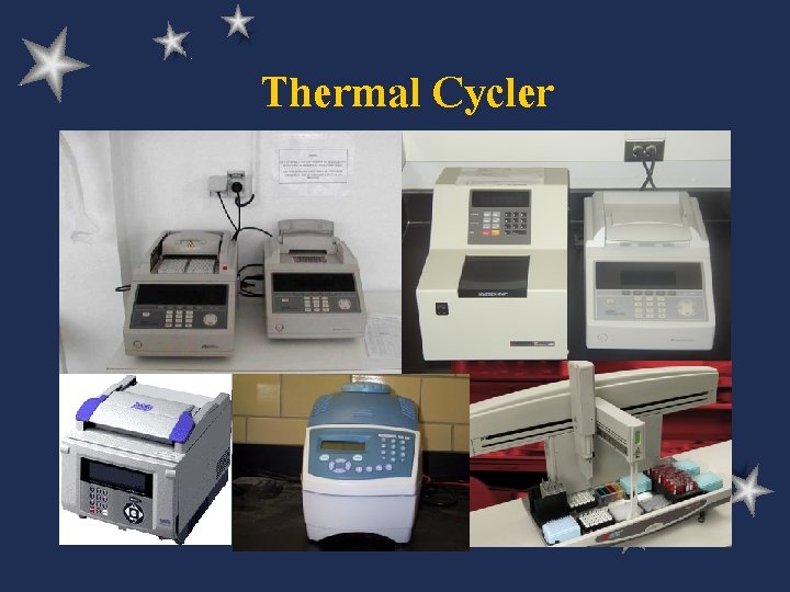 Thermal Cycler 