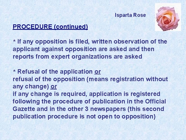 Isparta Rose PROCEDURE (continued) * If any opposition is filed, written observation of the