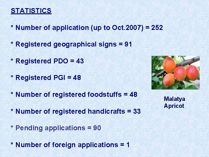 STATISTICS * Number of application (up to Oct. 2007) = 252 * Registered geographical