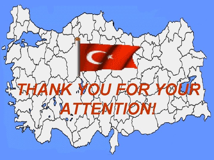 THANK YOU FOR YOUR ATTENTION! 