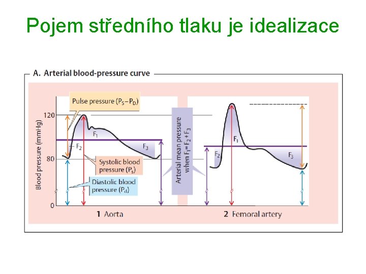 Pojem středního tlaku je idealizace 