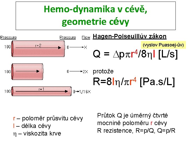Hemo-dynamika v cévě, geometrie cévy Hagen-Poiseuillův zákon (vyslov Puasoej-ův) Q = Dppr 4/8 hl