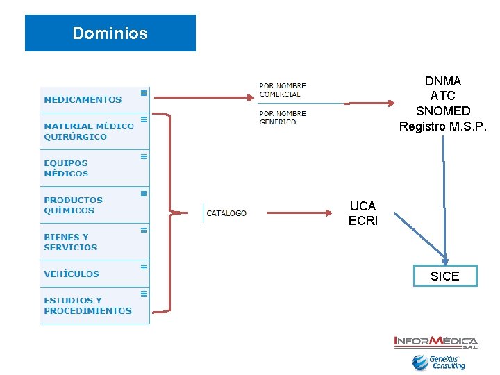 Dominios DNMA ATC SNOMED Registro M. S. P. UCA ECRI SICE 