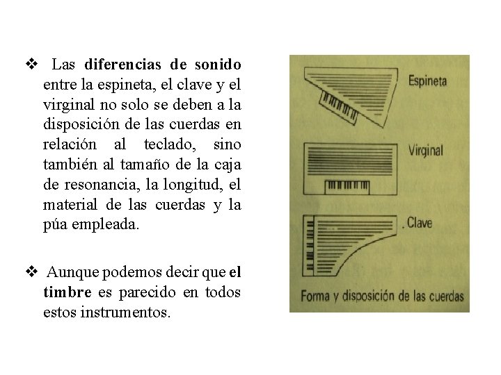 v Las diferencias de sonido entre la espineta, el clave y el virginal no