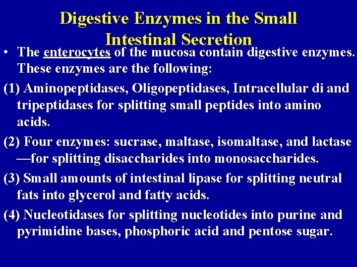 Digestive Enzymes in the Small Intestinal Secretion • The enterocytes of the mucosa contain