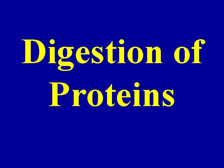 Digestion of Proteins 
