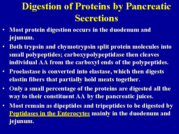 Digestion of Proteins by Pancreatic Secretions • Most protein digestion occurs in the duodenum