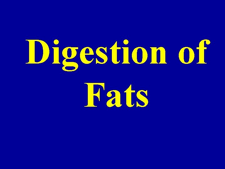 Digestion of Fats 