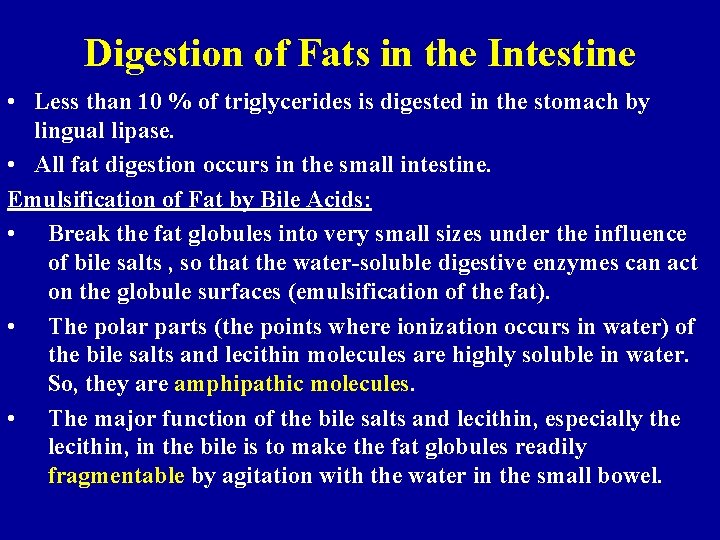 Digestion of Fats in the Intestine • Less than 10 % of triglycerides is