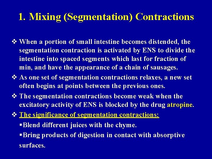 1. Mixing (Segmentation) Contractions v When a portion of small intestine becomes distended, the