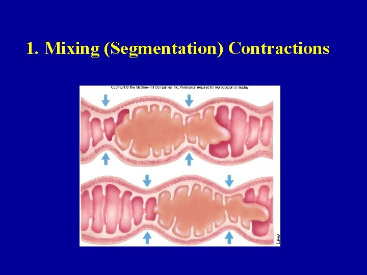 1. Mixing (Segmentation) Contractions 