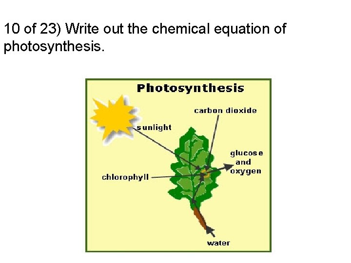 10 of 23) Write out the chemical equation of photosynthesis. 