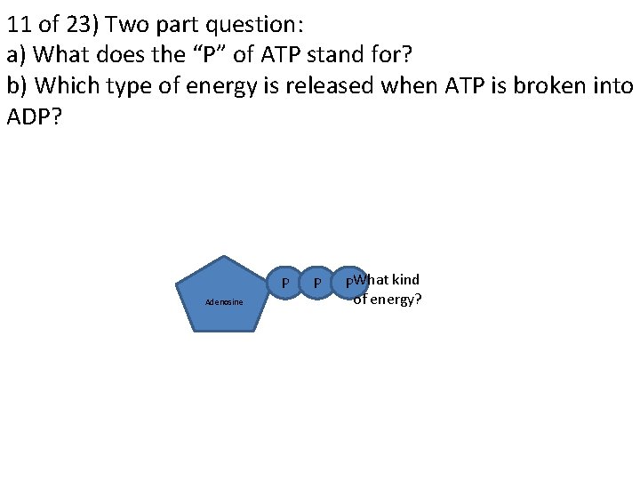 11 of 23) Two part question: a) What does the “P” of ATP stand