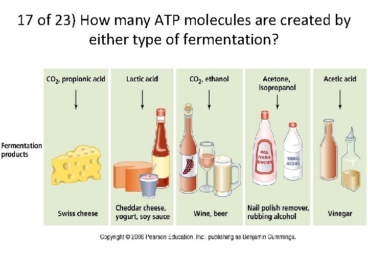 17 of 23) How many ATP molecules are created by either type of fermentation?