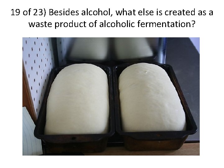 19 of 23) Besides alcohol, what else is created as a waste product of