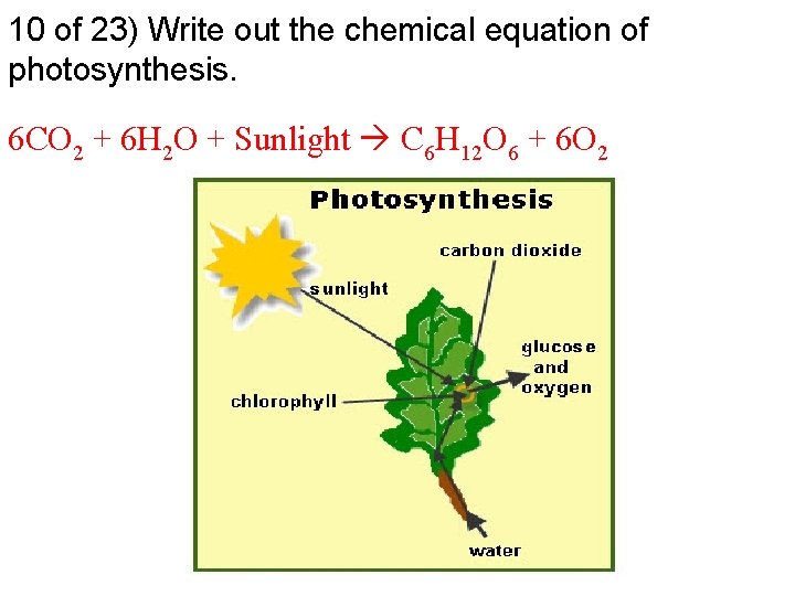 10 of 23) Write out the chemical equation of photosynthesis. 6 CO 2 +