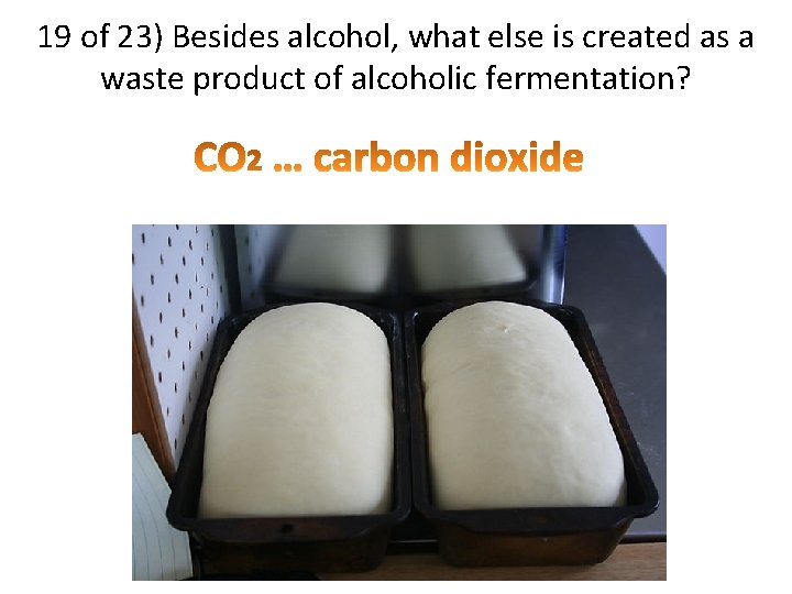 19 of 23) Besides alcohol, what else is created as a waste product of