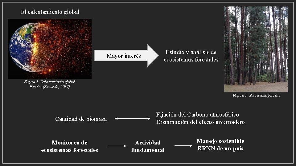 El calentamiento global Mayor interés Estudio y análisis de ecosistemas forestales Figura 1. Calentamiento