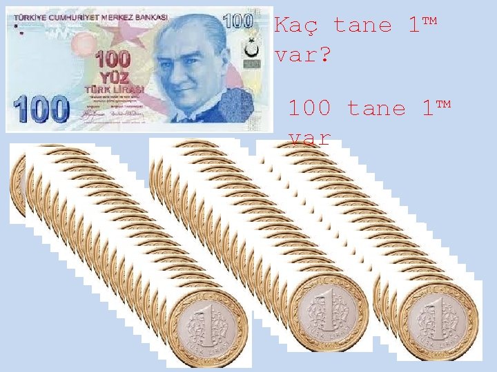 Kaç tane 1™ var? 100 tane 1™ var 