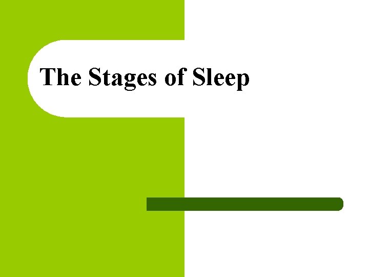 The Stages of Sleep 