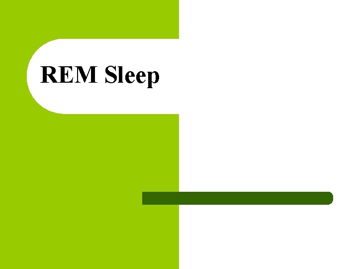 REM Sleep 