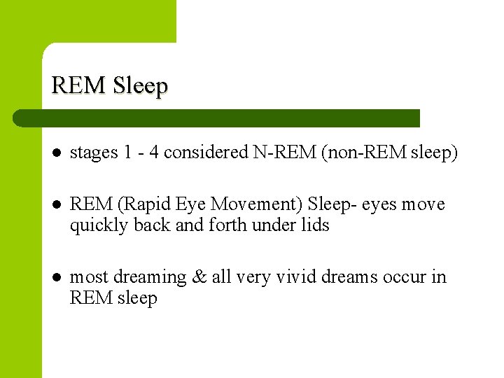 REM Sleep l stages 1 - 4 considered N-REM (non-REM sleep) l REM (Rapid
