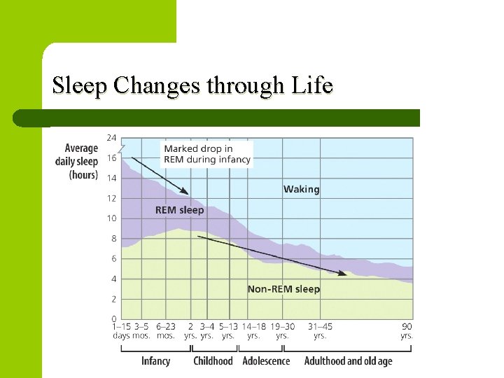 Sleep Changes through Life 