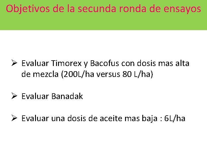Objetivos de la secunda ronda de ensayos Ø Evaluar Timorex y Bacofus con dosis